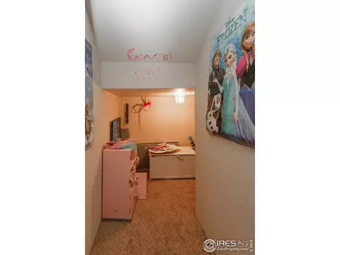 7360 Caledonian Ct, Windsor, CO 80550 photo 29