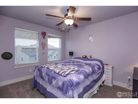 7360 Caledonian Ct, Windsor, CO 80550 photo 21