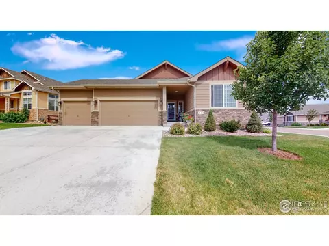 812 Shade Tree Dr, Windsor, CO 80550 photo 2