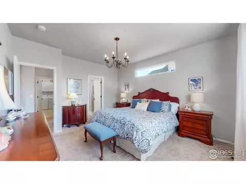 812 Shade Tree Dr, Windsor, CO 80550 photo 15
