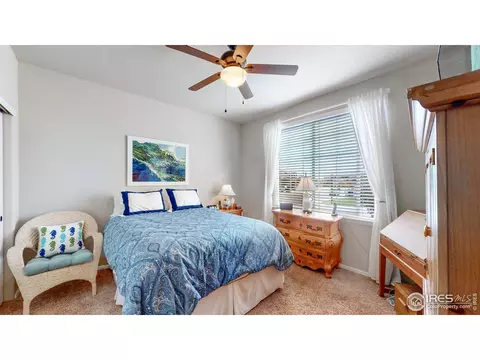 812 Shade Tree Dr, Windsor, CO 80550 photo 18