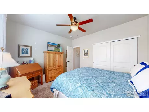 812 Shade Tree Dr, Windsor, CO 80550 photo 19