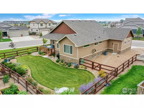 812 Shade Tree Dr, Windsor, CO 80550 photo 28