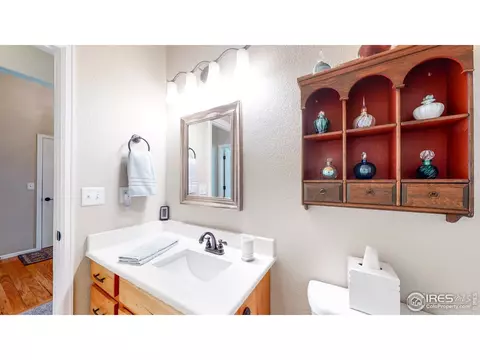 812 Shade Tree Dr, Windsor, CO 80550 photo 21
