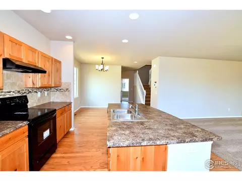 1300 Chamois Dr, Severance, CO 80550 photo 10