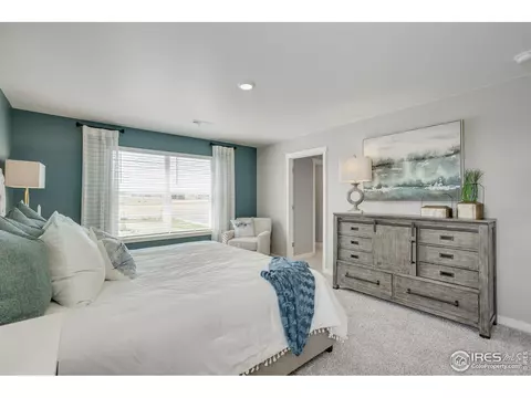 4535 Hollycomb Dr, Windsor, CO 80550 photo 24