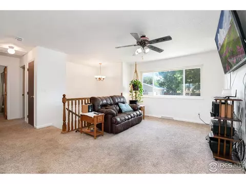 1014 Larch Dr, Windsor, CO 80550 photo 4
