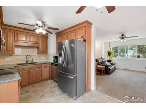 1014 Larch Dr, Windsor, CO 80550 photo 7