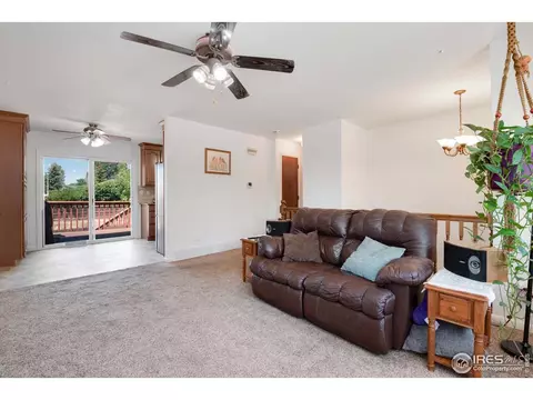 1014 Larch Dr, Windsor, CO 80550 photo 3