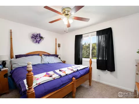 1014 Larch Dr, Windsor, CO 80550 photo 8