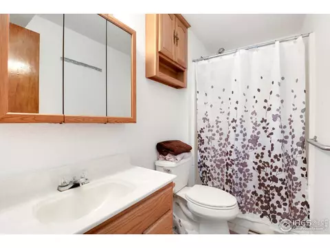 1014 Larch Dr, Windsor, CO 80550 photo 15