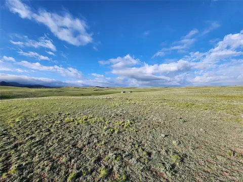 4305 Black Gatto Trl, Hartsel, CO 80449