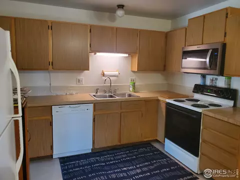 103 Rose Ct, Windsor, CO 80550 photo 4