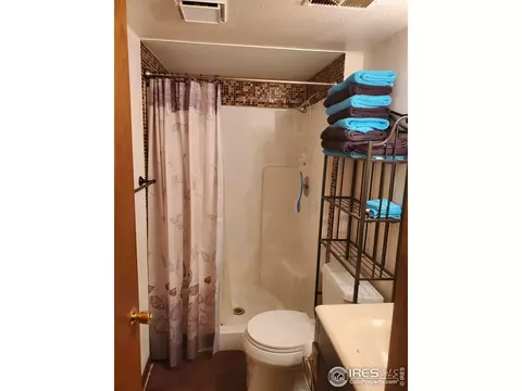 103 Rose Ct, Windsor, CO 80550 photo 10