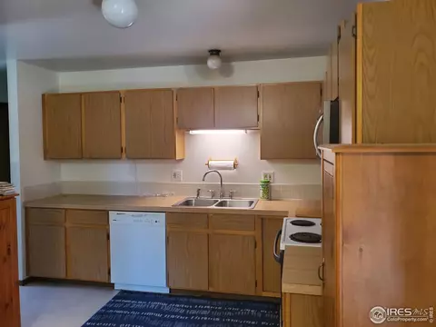 103 Rose Ct, Windsor, CO 80550 photo 5