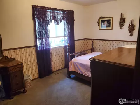 103 Rose Ct, Windsor, CO 80550 photo 11