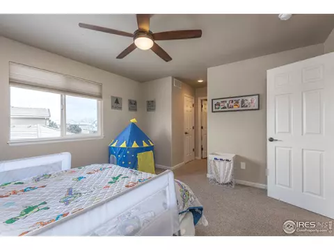 449 Whitney Hbr, Windsor, CO 80550 photo 30