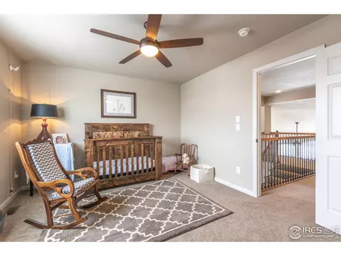 449 Whitney Hbr, Windsor, CO 80550 photo 28