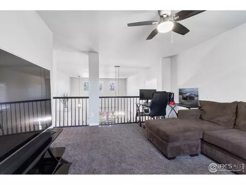11402 Daisy Ct, Firestone, CO 80504 photo 21