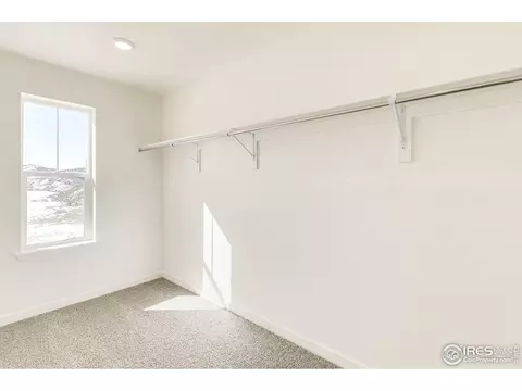 4501 Hollycomb Dr, Windsor, CO 80550 photo 23