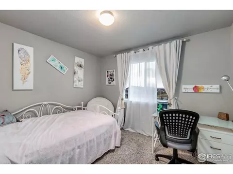5127 Carmon Dr, Windsor, CO 80550 photo 20