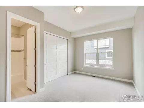 5932 Riverbluff Dr, Timnath, CO 80547 photo 33
