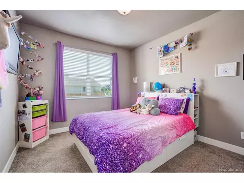 5291 Long Dr, Timnath, CO 80547 photo 24