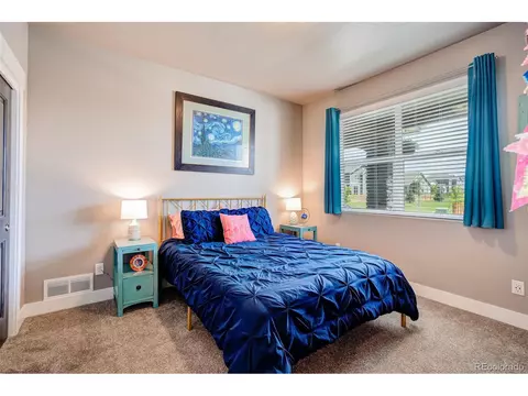 5291 Long Dr, Timnath, CO 80547 photo 22