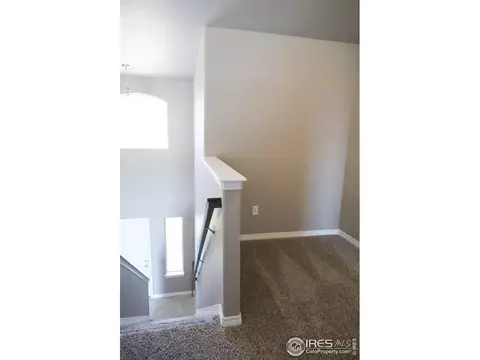 4571 Waltham Dr, Windsor, CO 80550 photo 17