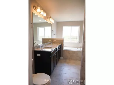 4571 Waltham Dr, Windsor, CO 80550 photo 34