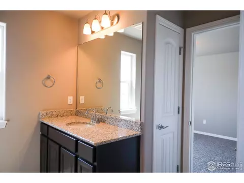 4571 Waltham Dr, Windsor, CO 80550 photo 24