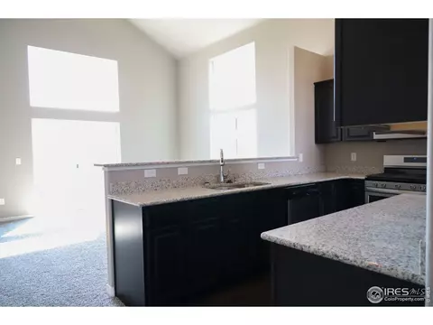 4571 Waltham Dr, Windsor, CO 80550 photo 11