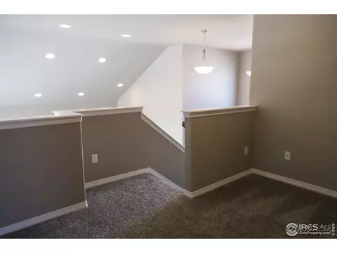 4571 Waltham Dr, Windsor, CO 80550 photo 16