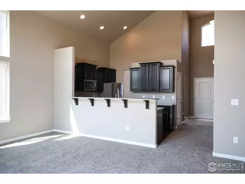 4571 Waltham Dr, Windsor, CO 80550 photo 14