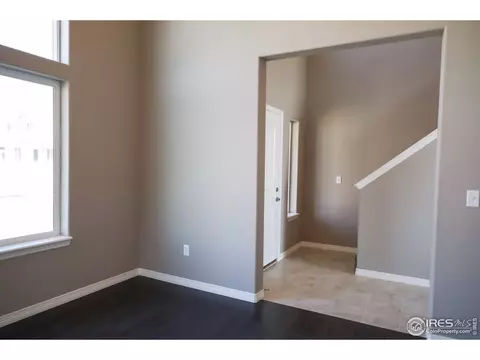 4571 Waltham Dr, Windsor, CO 80550 photo 8