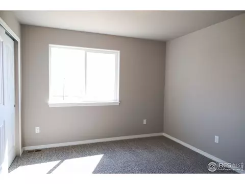 4571 Waltham Dr, Windsor, CO 80550 photo 22
