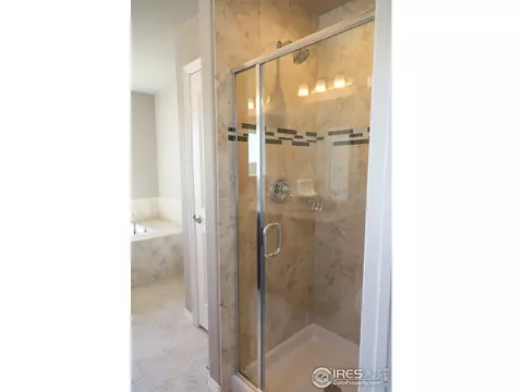 4571 Waltham Dr, Windsor, CO 80550 photo 33
