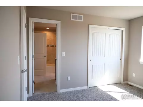 4571 Waltham Dr, Windsor, CO 80550 photo 23