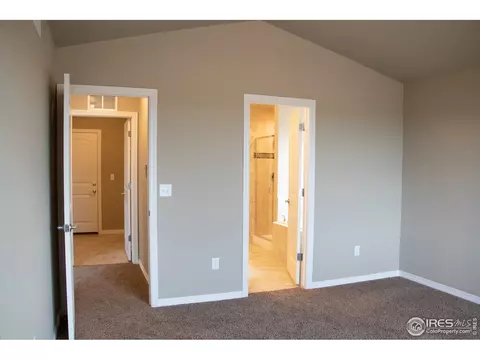 4445 Waltham Dr, Windsor, CO 80550 photo 21