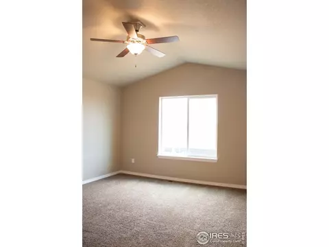 4445 Waltham Dr, Windsor, CO 80550 photo 20