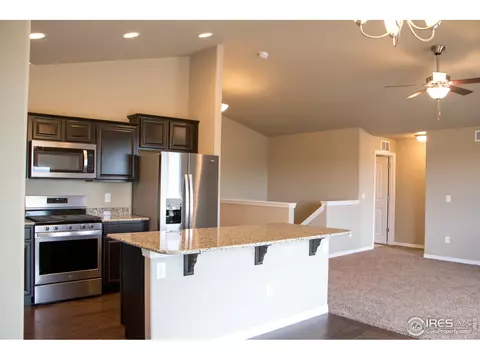 4445 Waltham Dr, Windsor, CO 80550 photo 16