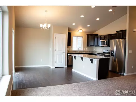 4445 Waltham Dr, Windsor, CO 80550 photo 11