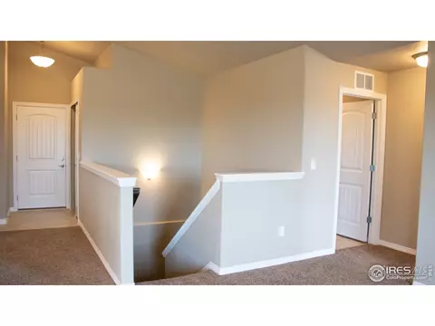 4445 Waltham Dr, Windsor, CO 80550 photo 17
