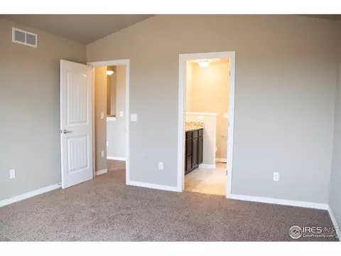 4445 Waltham Dr, Windsor, CO 80550 photo 22