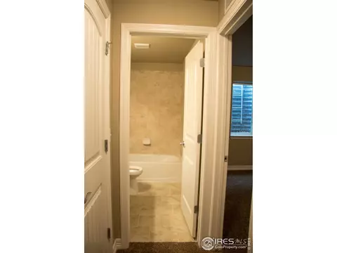 4445 Waltham Dr, Windsor, CO 80550 photo 33