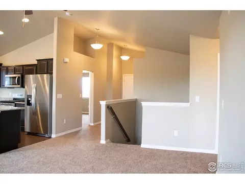4445 Waltham Dr, Windsor, CO 80550 photo 13