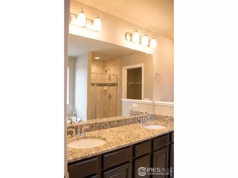4445 Waltham Dr, Windsor, CO 80550 photo 24