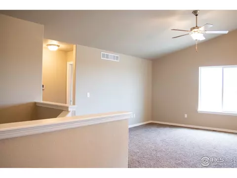 4445 Waltham Dr, Windsor, CO 80550 photo 12