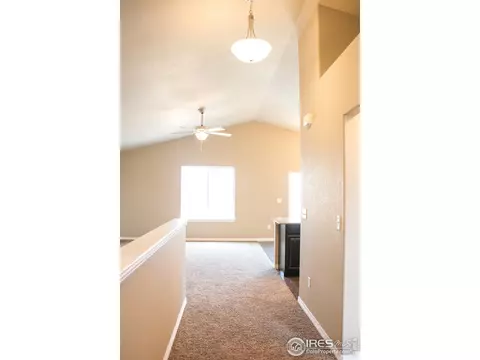 4445 Waltham Dr, Windsor, CO 80550 photo 3