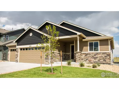 4445 Waltham Dr, Windsor, CO 80550 photo 4